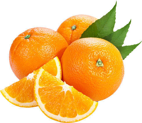 Valencia Oranges